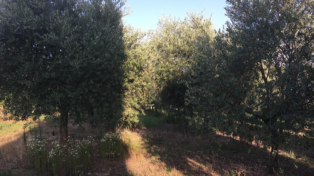 Casa Vacanze Soleluna Montichiari Zewnętrze zdjęcie